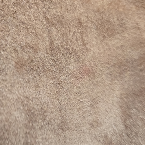 Jones Wear Suede Jacket - Picture 4 of 6